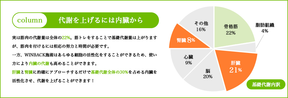 代謝を上げるには内臓から