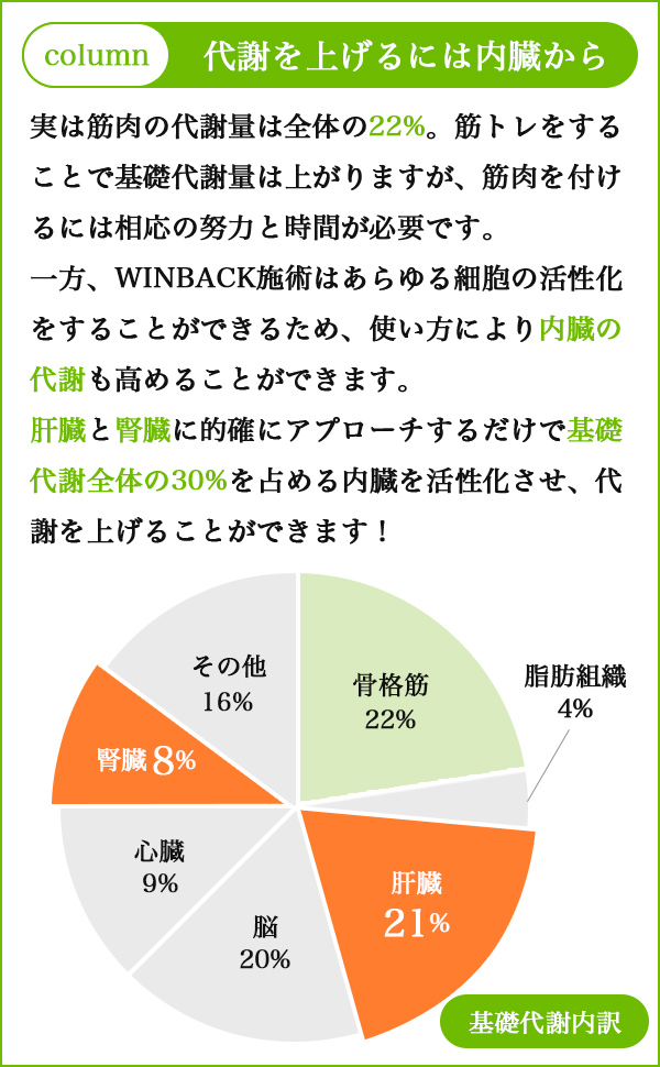 代謝を上げるには内臓から